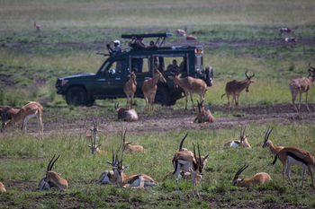 Готель Elewana Sand River Masai Mara Масаї-Мара Екстер'єр фото